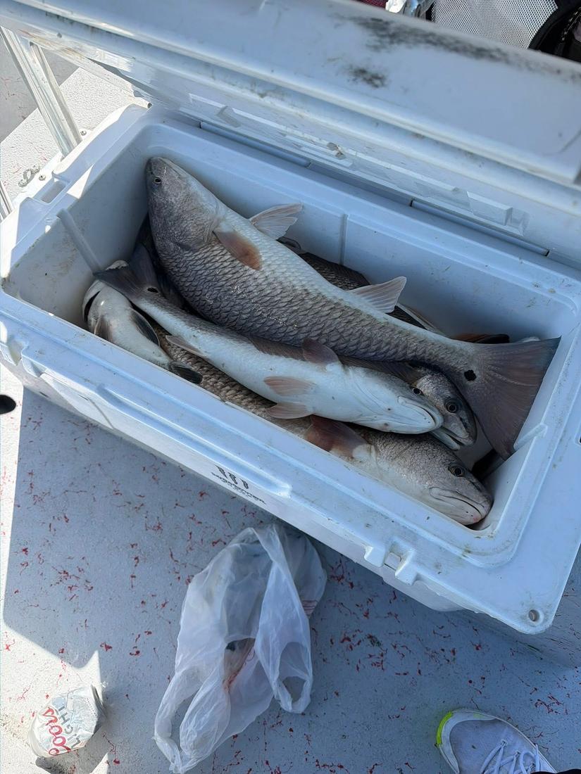 Inshore catch with Stay Salty Charters — Port Aransas / Rockport, TX