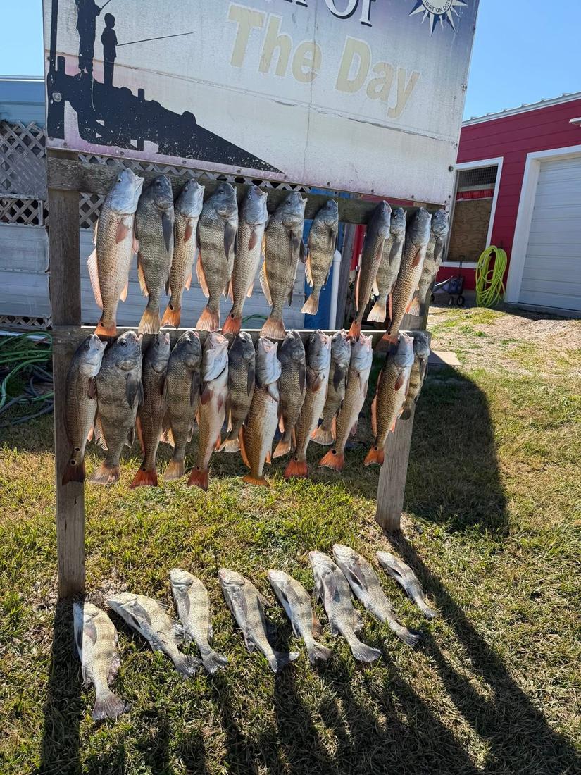 Inshore catch with Stay Salty Charters — Port Aransas / Rockport, TX
