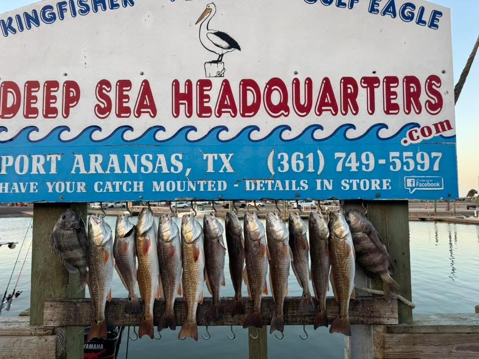 Inshore catch with Stay Salty Charters — Port Aransas / Rockport, TX