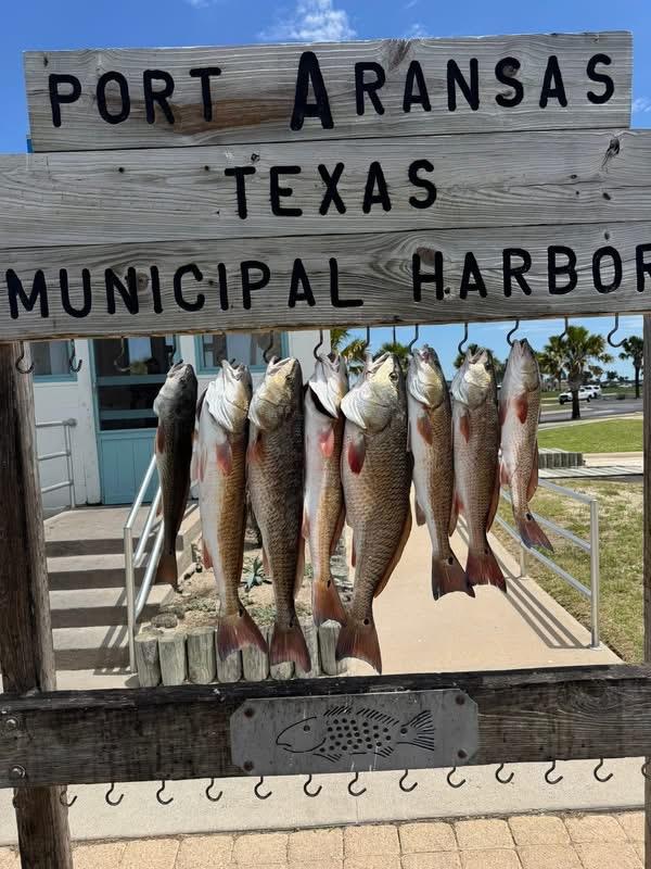 Inshore catch with Stay Salty Charters — Port Aransas / Rockport, TX