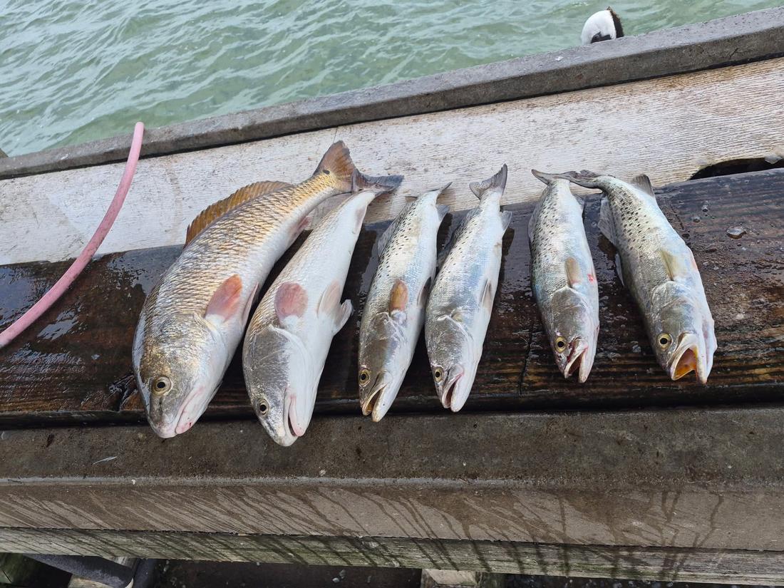 Inshore catch with Stay Salty Charters — Port Aransas / Rockport, TX